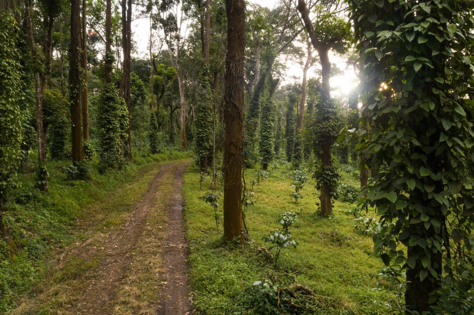 Tusker Trail By Luxunlock Hotell Suntikoppa Exteriör bild